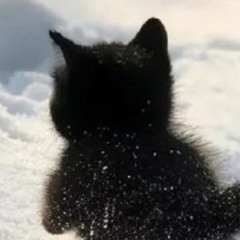 [-cd-]