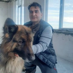 Alipour