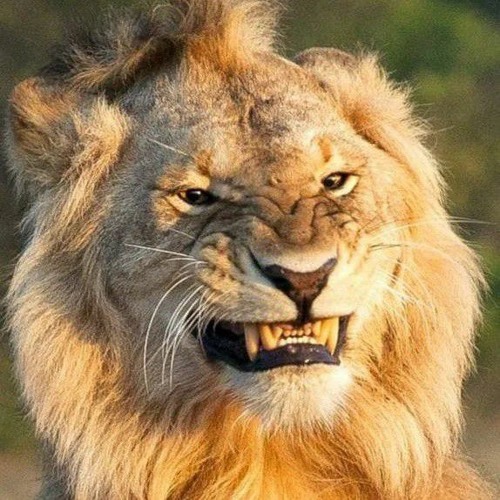 Jamrud - Pelangi Di Matamu