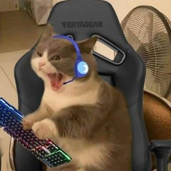 수닝