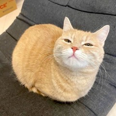 tùn