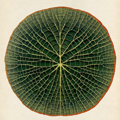 KōTan