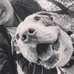 ♥️🕸.K_O_B_R_A.🕸♥️