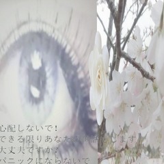 qq1d