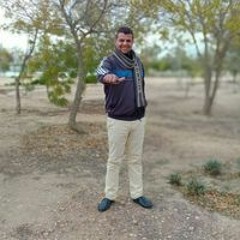 محمد روكب