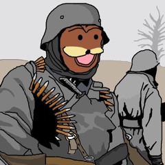 Finnishcrusader14