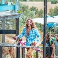 אלישע אבידור