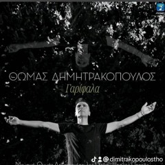 Thomas Dimitrakopoulos
