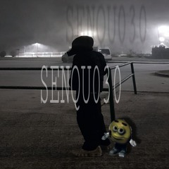 senqu030