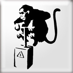 Chimpmangeez