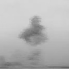 Wout Depauw