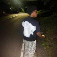 mariwrld