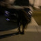devtrippin
