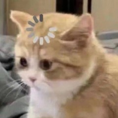 Toast