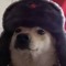 A Communist Furry