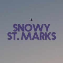 Snowy St. Marks