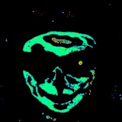 lykothealien