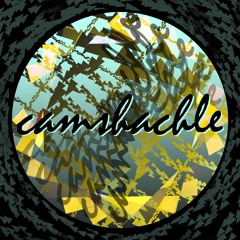 Camshachle
