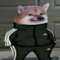 Orquin