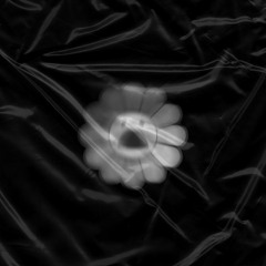 froesfromoz (em hiatus)