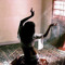 Ameera