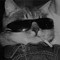 axtro_url
