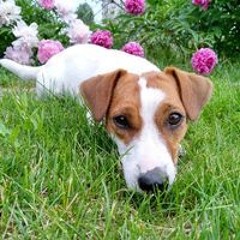 Лариса Тимофеева