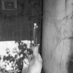 Anni M3INES