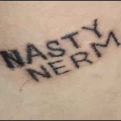 NASTY NERM