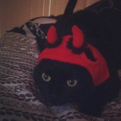 xxhttpstarlitnightskyxx