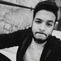 Adel KH Mowafi