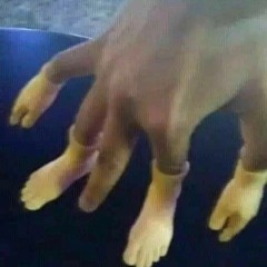 Derplord