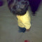 abod