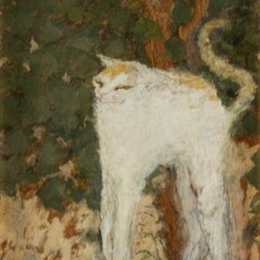 kurr