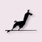The Surfing Llama