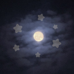 Lily_6632