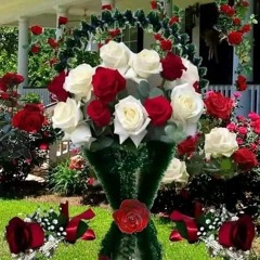 Ahmed Mee