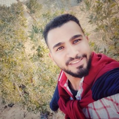 Bebo Samer