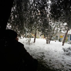 Javad Zare