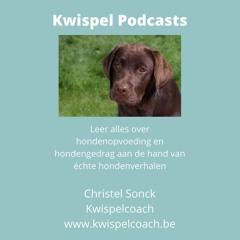 Kwispel Podcast
