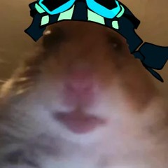 BigBuffManMan87ROBLOX