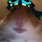 BigBuffManMan87ROBLOX