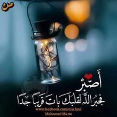 Mohamed Hassan