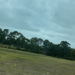 payney