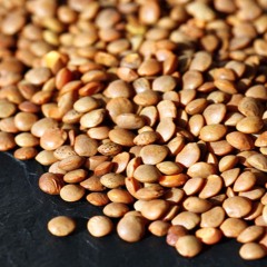 DonLentil