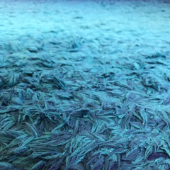 Takahiro Y`men Suzuki