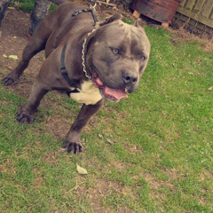 reece123