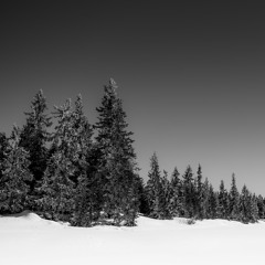 Håpløshet // Arjan Wilmsen