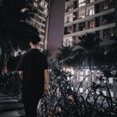 Viet Anh
