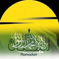 Hossam Abo Gabal